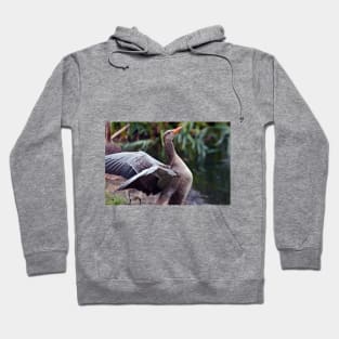 Bird Poetry Hoodie